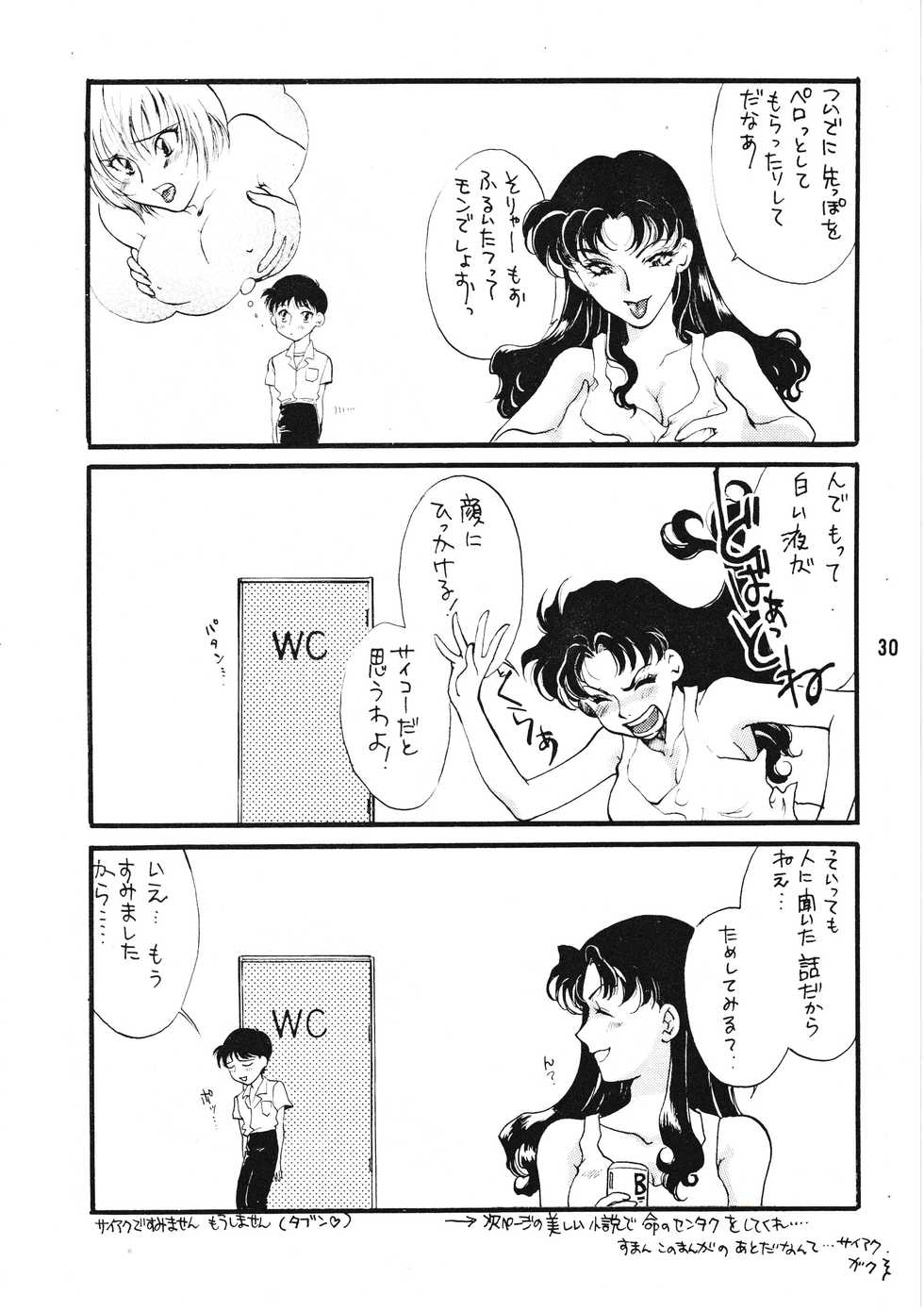 [Gekijou Pierrot (Various)] Seiteki Gengo Kajou Hannou Shoukougun (Neon Genesis Evangelion) [1996-04-07] - Page 29