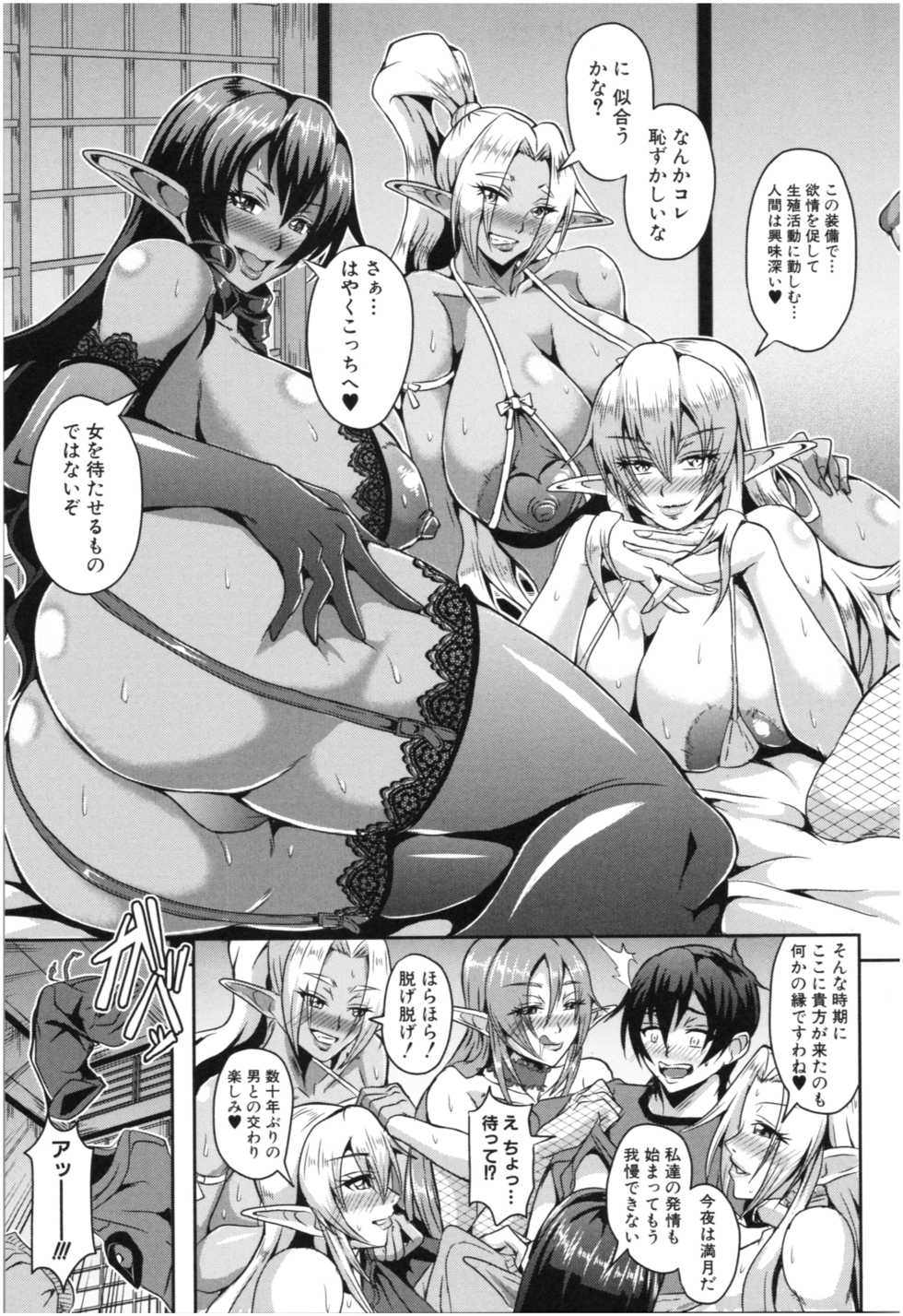 [Mifune Seijirou] Elf Harem Monogatari - Elf Harem Story - Page 12