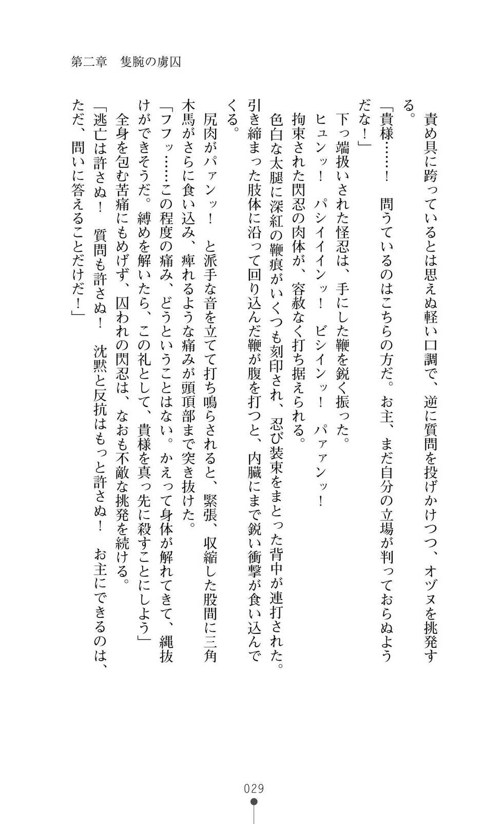[Aoi Muramasa, Kirishima Satoshi] Choukou Sennin Haruka Subaru Ryoshuu Majoku Hen [Digital] - Page 29