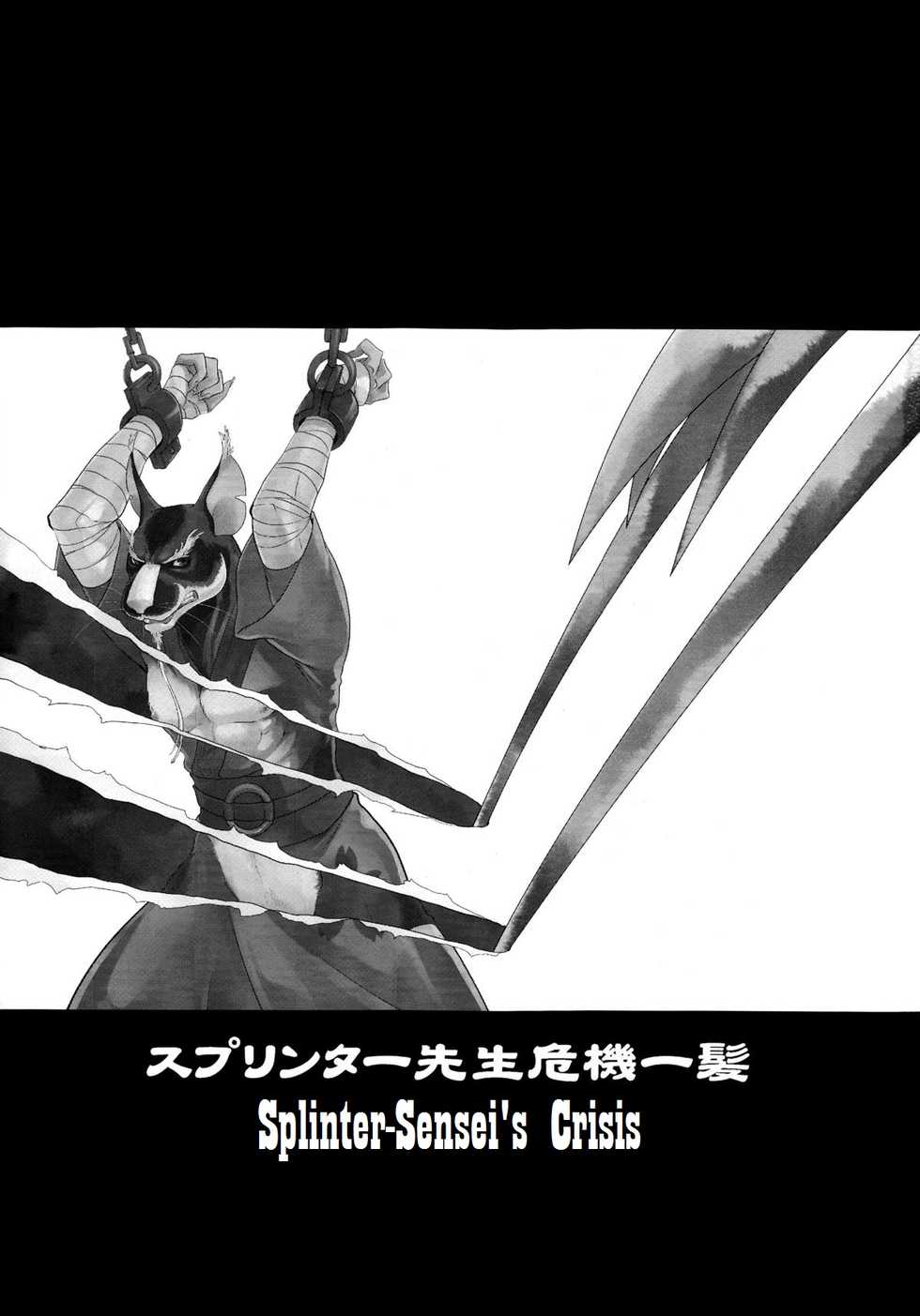 (Fur-st 8) [INK (Kreuz, Kandagawa Gufu)] Splinter Sensei Kikiippatsu | Splinter Sensei's Crisis (Teenage Mutant Ninja Turtles) [English] [SakuraJizz] - Page 3