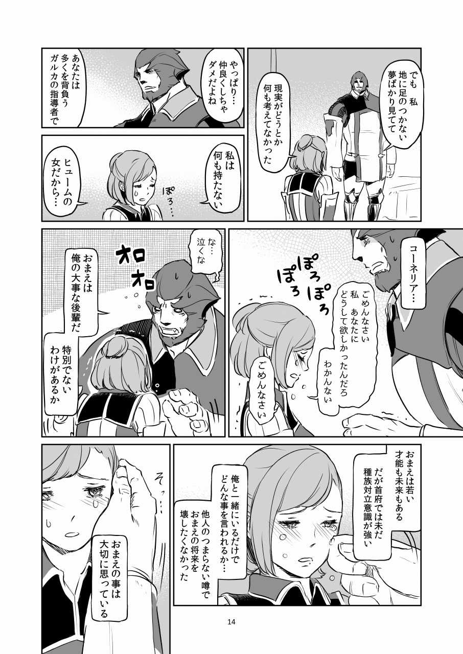 [Natsu Mica] Man Getsu (Final Fantasy XI) - Page 14