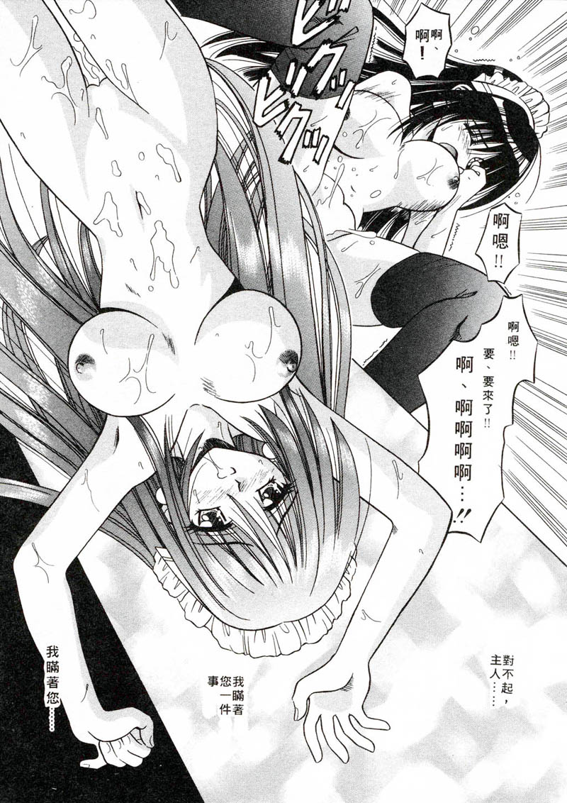 [Matra Milan] PALLADIUM GARDEN | 私立女僕學園 [Chinese] - Page 30