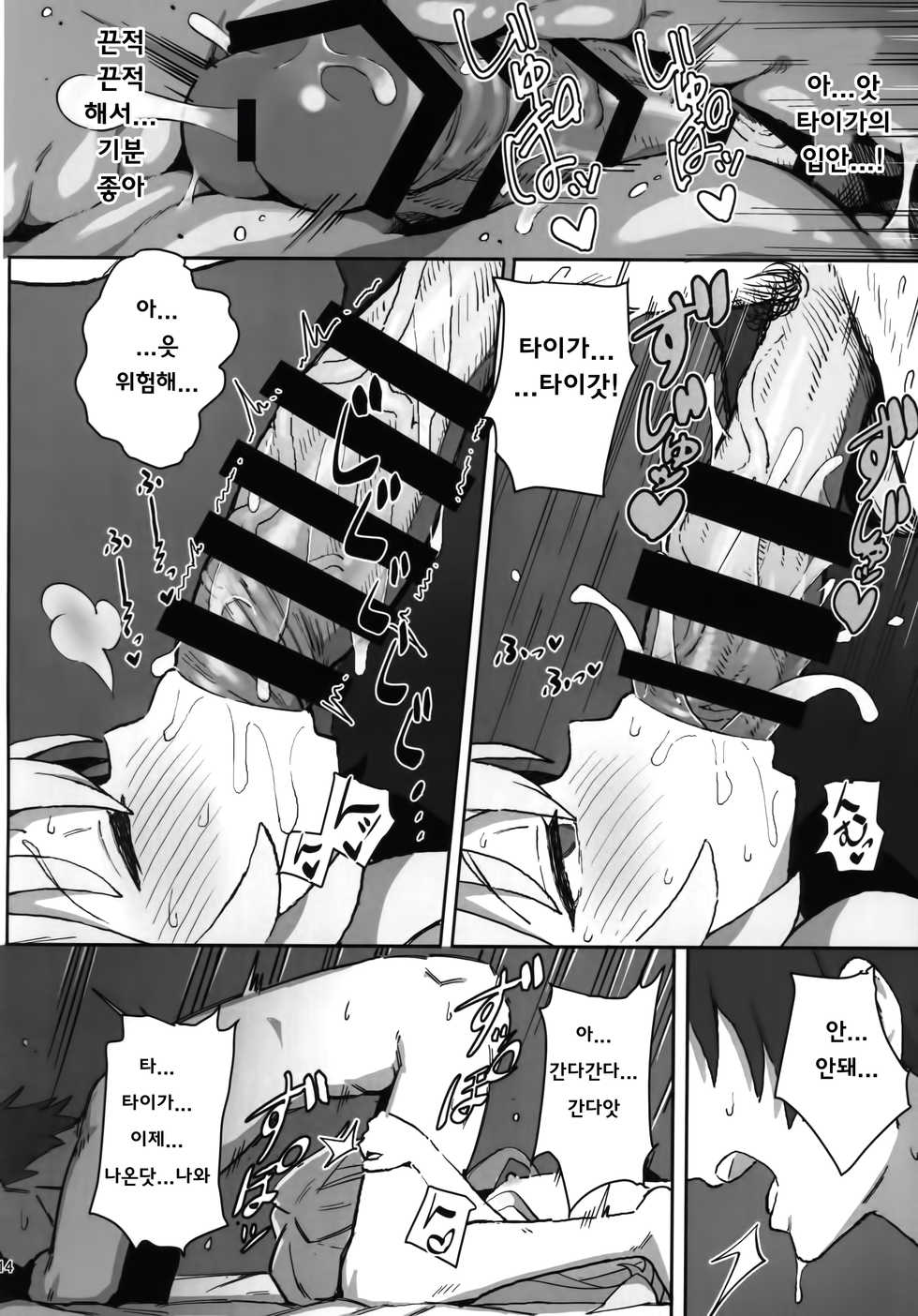 (C96) [Dagashiya (Wagashi)] Toradora! no Erohon | 토라도라! 야한책 (Toradora!) [Korean] [웹게임 마이너 갤러리] - Page 14