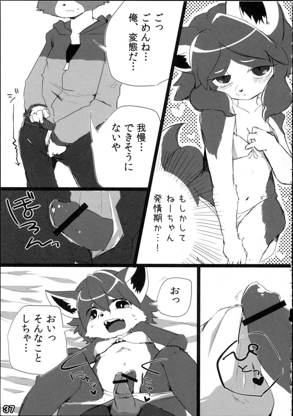 (Fur-st) [Kemono Masshigura (Various)] Kemoshota Damono 2 - Page 39