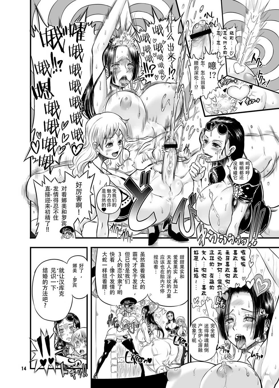 [Arsenothelus (Rebis, Chinbotsu)] Midarezaki Kaizoku Jotei (One Piece) [Chinese] [不咕鸟汉化组] [Digital] - Page 14