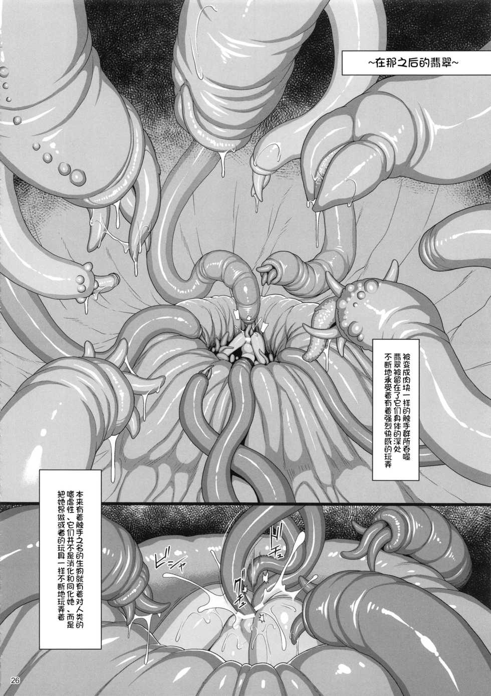 (C94) [Aerial Rave (Jacky)] EMERALD SPLASH 3 (Xenogears) [Chinese] [不咕鸟汉化组] - Page 25