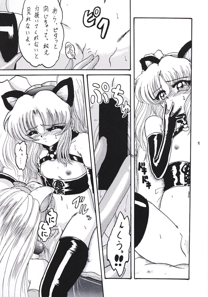 (C55) [L-Gauge Sha (Shōryū)] R2 (Martian Successor Nadesico) - Page 14