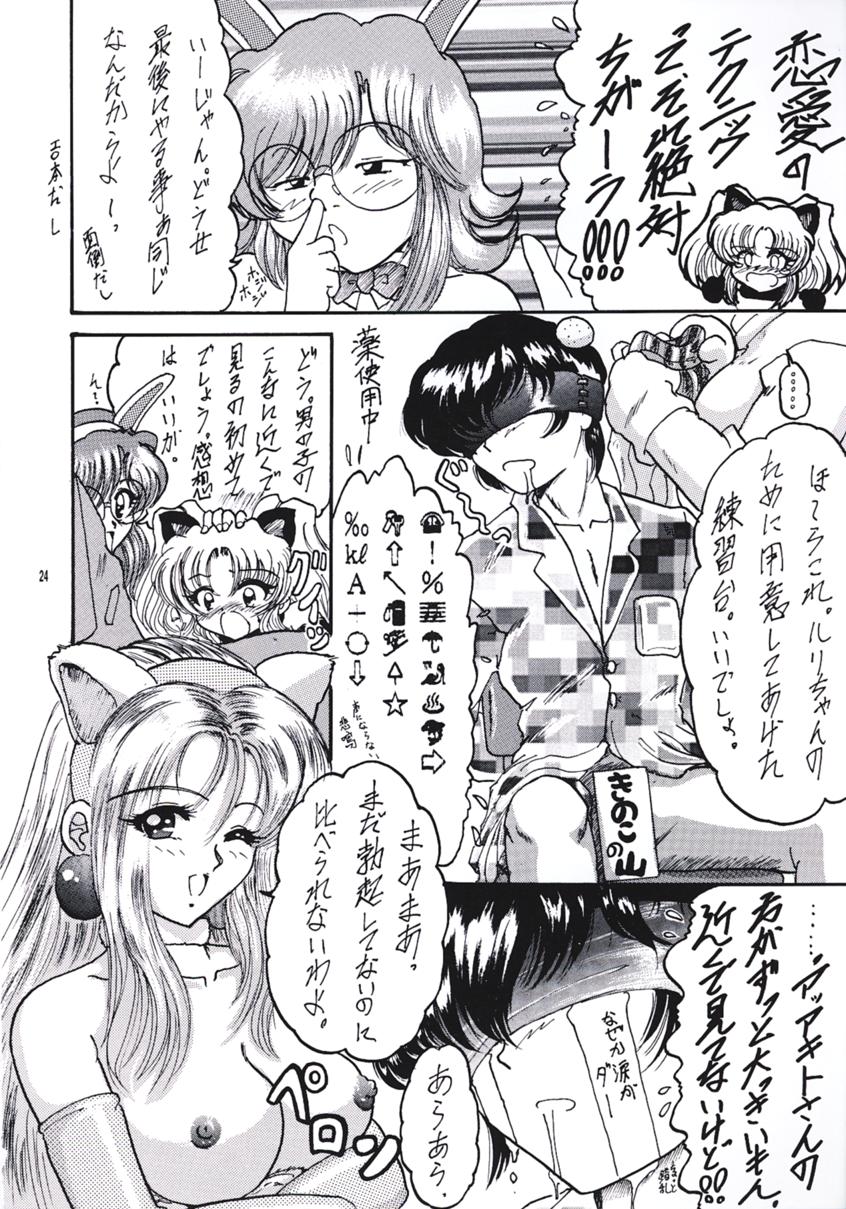 (C55) [L-Gauge Sha (Shōryū)] R2 (Martian Successor Nadesico) - Page 23
