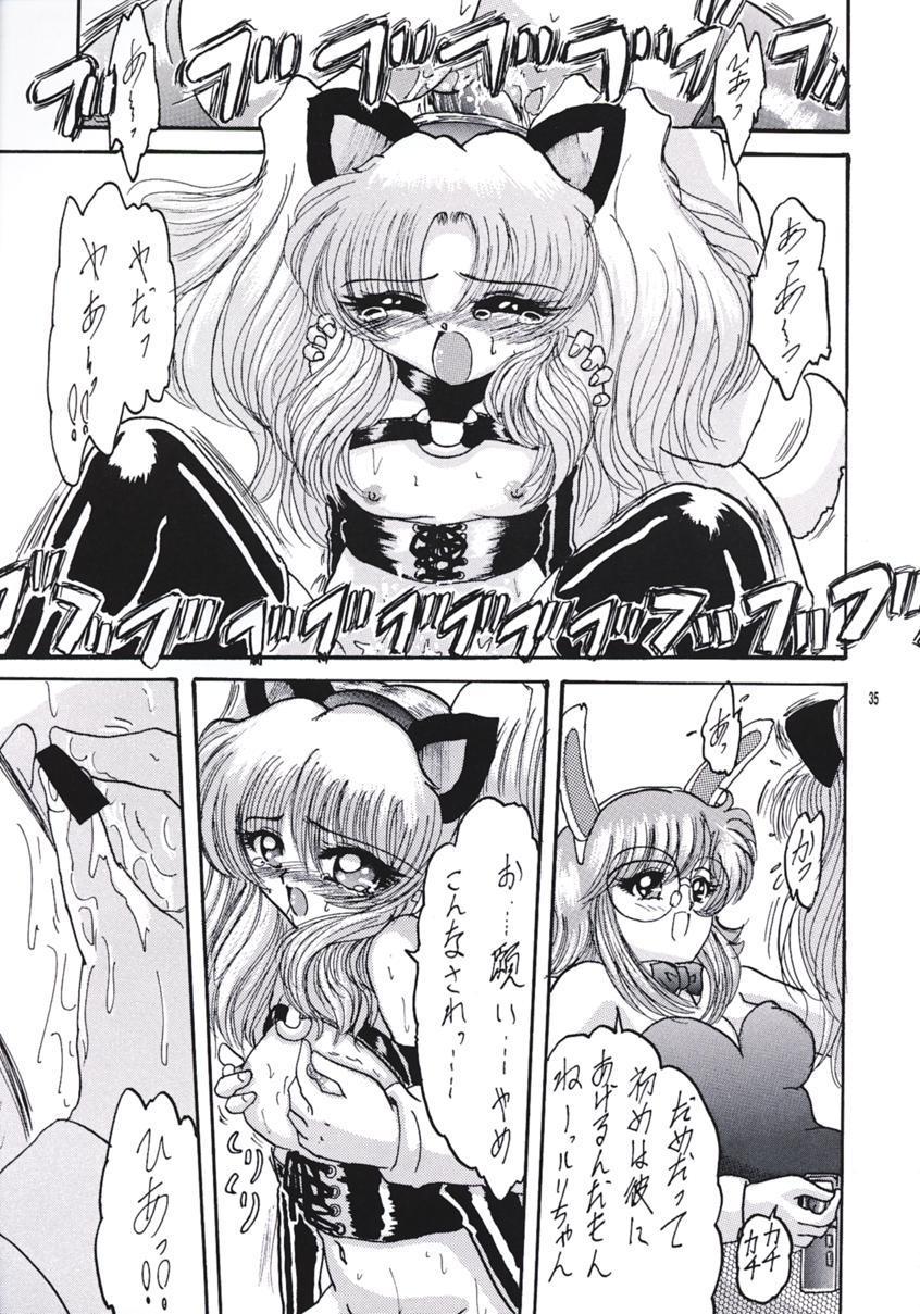 (C55) [L-Gauge Sha (Shōryū)] R2 (Martian Successor Nadesico) - Page 34