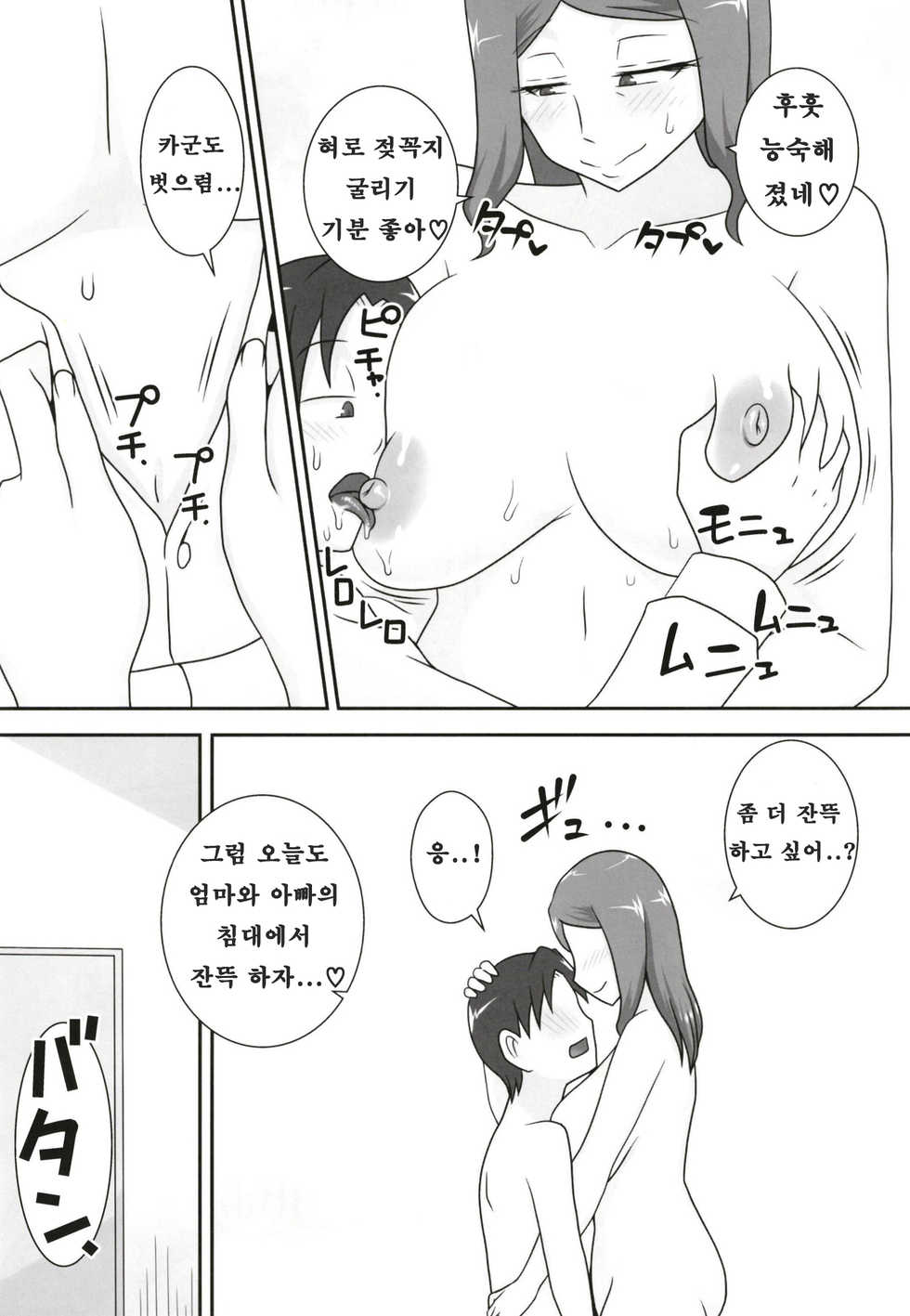 (C93) [Freehand Tamashii (DT Hone)] Sasemama [Korean] [KYR] - Page 13