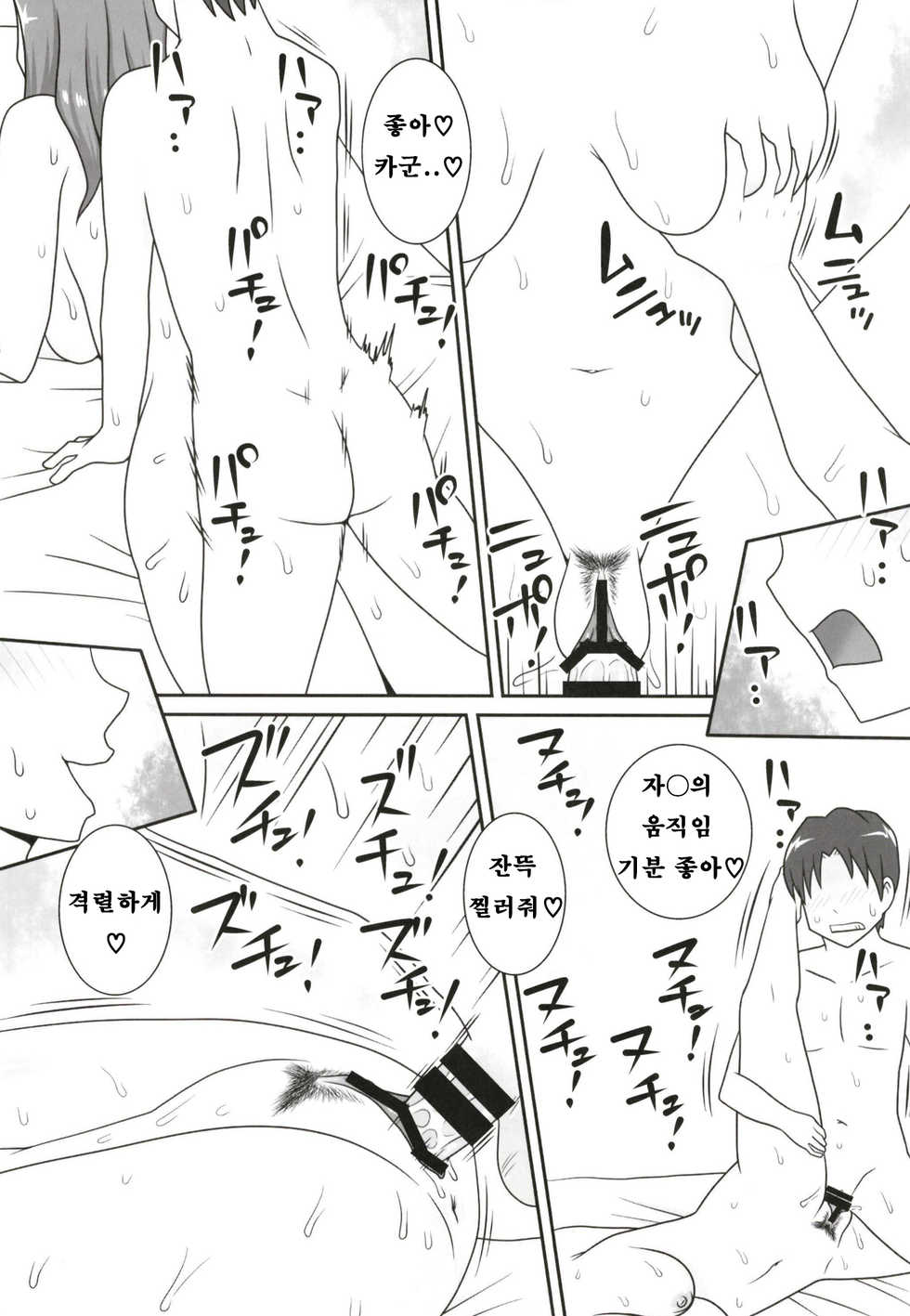 (C93) [Freehand Tamashii (DT Hone)] Sasemama [Korean] [KYR] - Page 19