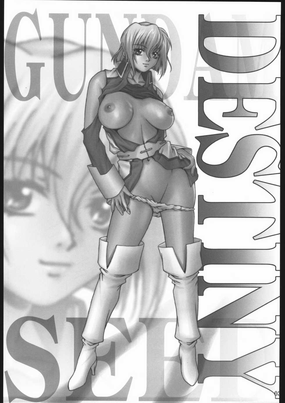 (C67) [Ruki Ruki EXISS (Fumizuki Misoka)] Tane no Hozon ... (Gundam SEED DESTINY) - Page 2