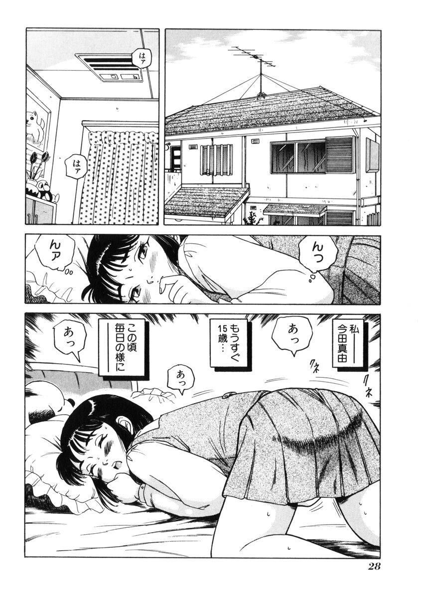 [Tamikusa Namida] Ame to Muchi - Page 32