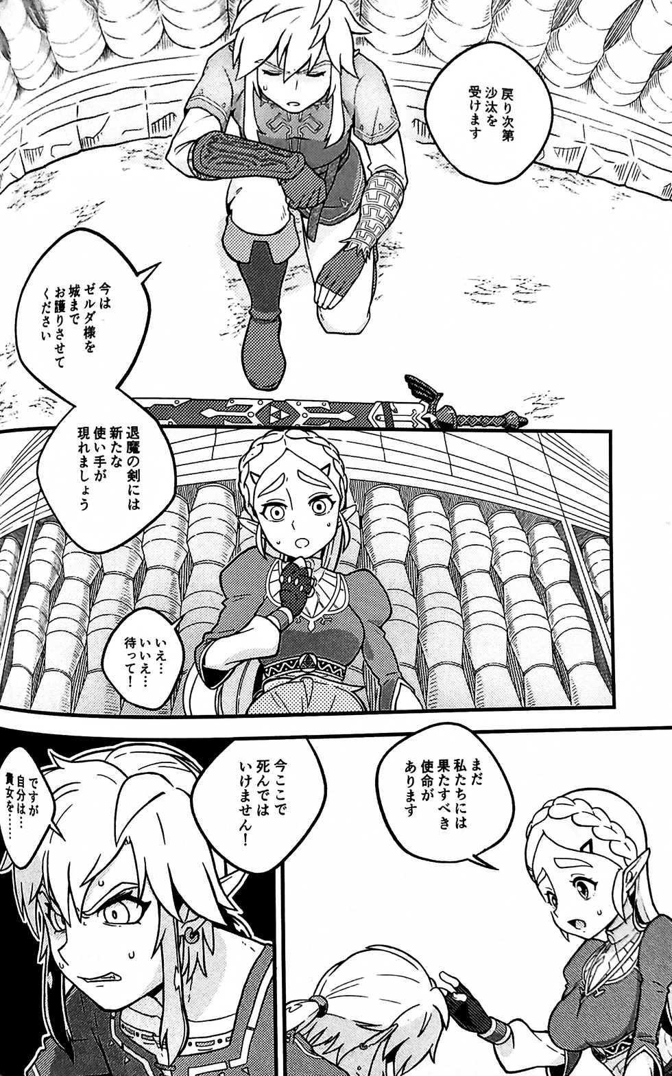 [Sueno-ya (Yasurou)] BREATH OF THE BEAST (The Legend of Zelda: Breath of the Wild) [2018-09-03] - Page 19