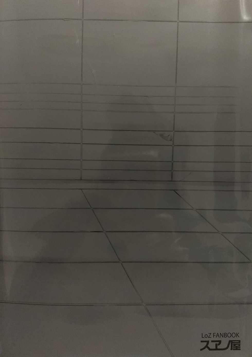 [Sueno-ya (Yasurou)] BREATH OF THE BEAST (The Legend of Zelda: Breath of the Wild) [2018-09-03] - Page 22