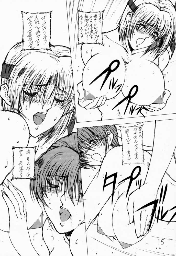 (C57) [Shibarism (Shibari Kana)] DA 2 (Dead or Alive) - Page 14