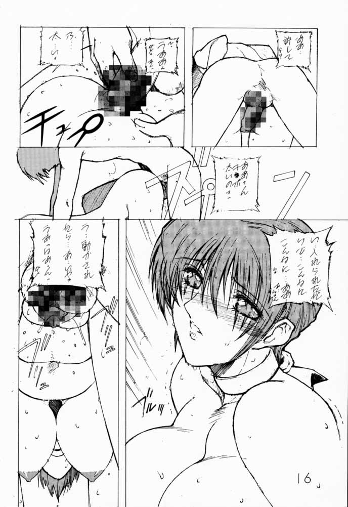 (C57) [Shibarism (Shibari Kana)] DA 2 (Dead or Alive) - Page 15