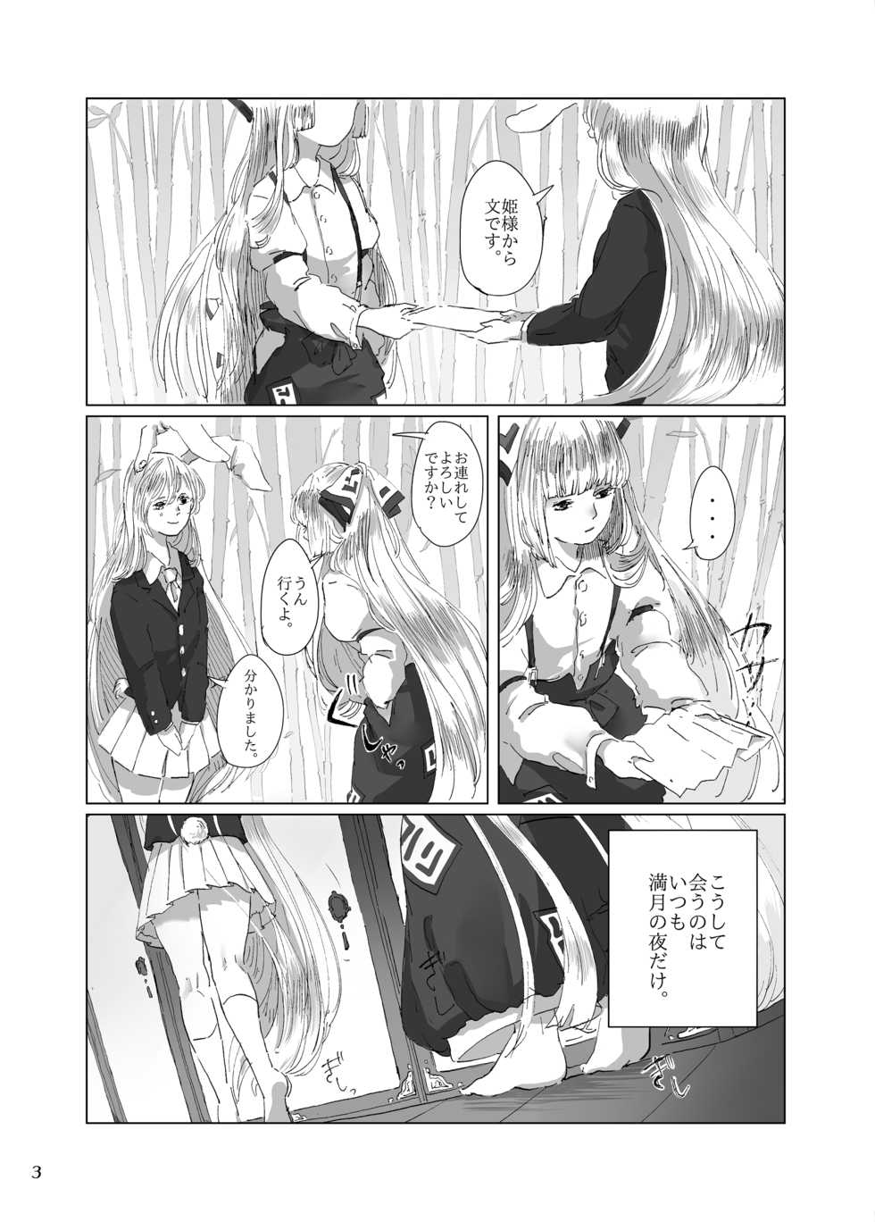 [Amairo Macaron (Motako)] Hodoyoi Kyori (Touhou Project) [Digital] - Page 3