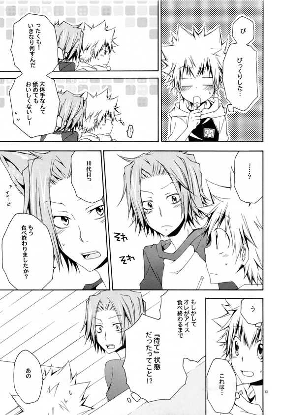 (C74) [Mononoke Hobaku Butai (Kubyou Azami)] Catch You Catch Me (Katekyoo Hitman REBORN!) - Page 12