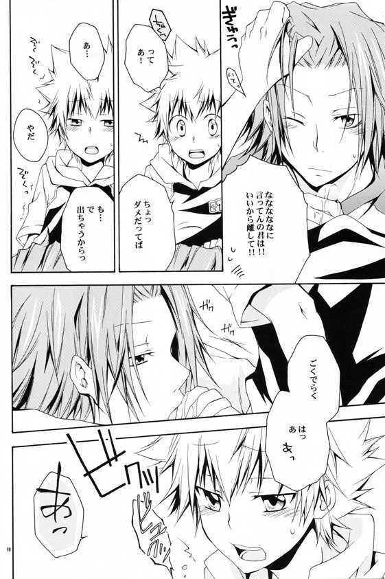 (C74) [Mononoke Hobaku Butai (Kubyou Azami)] Catch You Catch Me (Katekyoo Hitman REBORN!) - Page 17