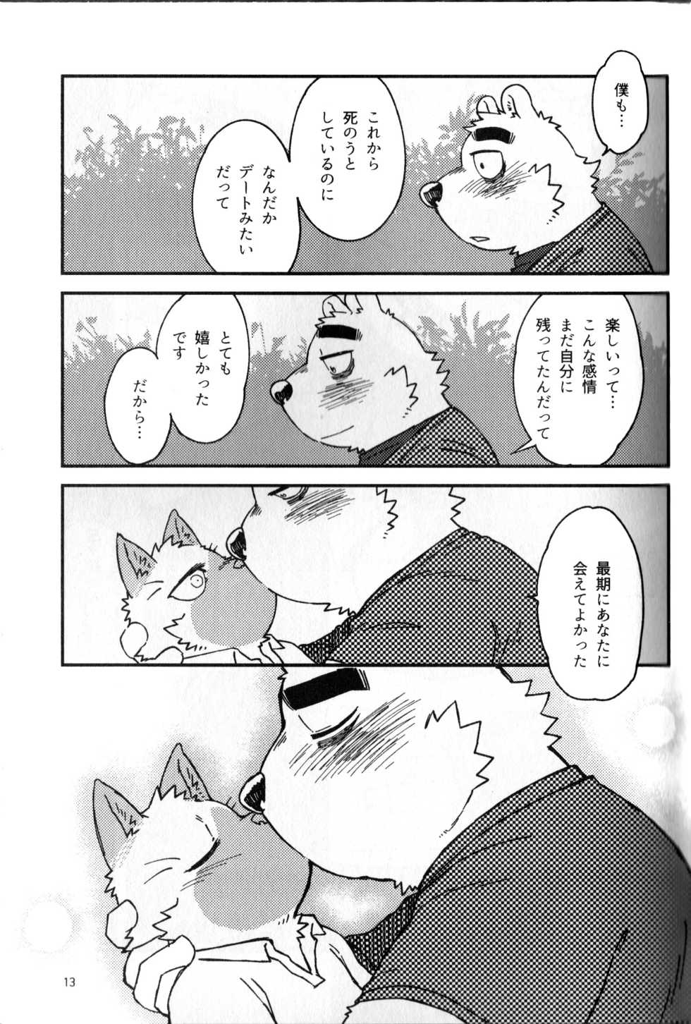 (Kemoket 7) [Nostalgic Syndrome (doromiez)] Kanshou no Maelstrom - Page 14