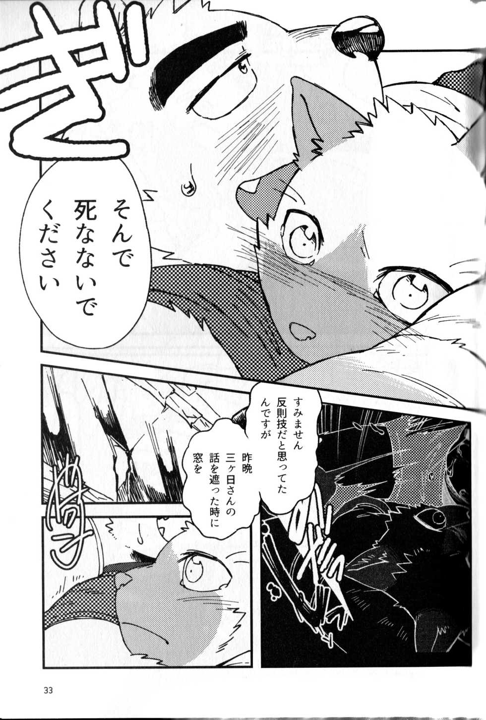 (Kemoket 7) [Nostalgic Syndrome (doromiez)] Kanshou no Maelstrom - Page 34