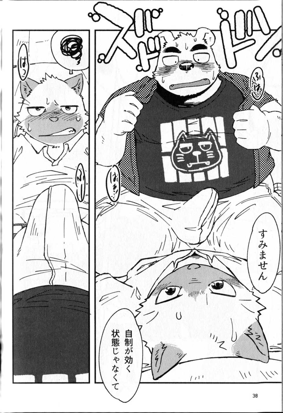 (Kemoket 7) [Nostalgic Syndrome (doromiez)] Kanshou no Maelstrom - Page 39