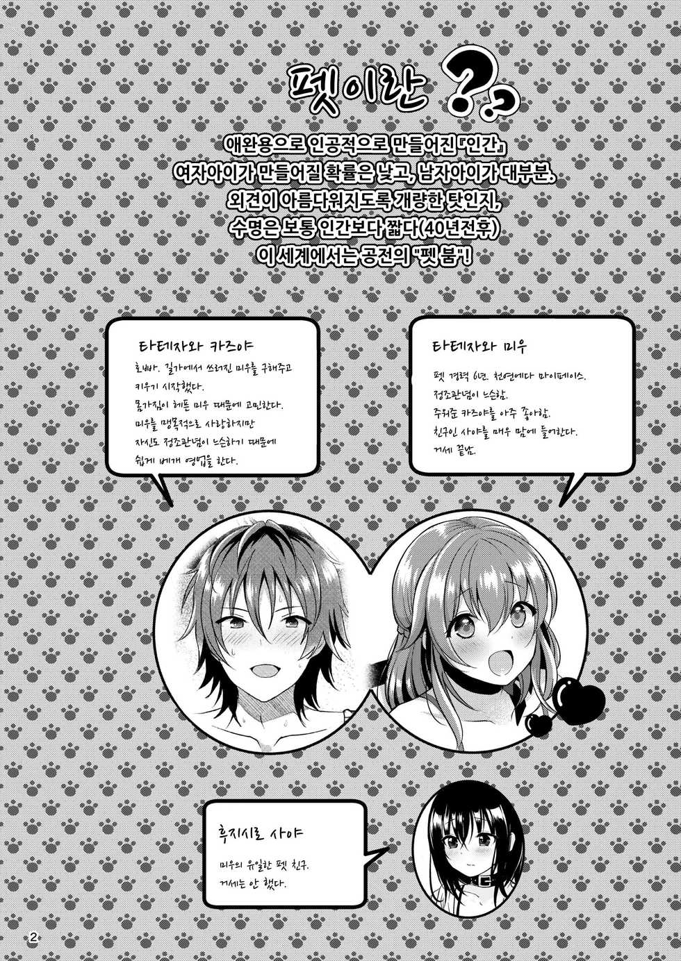 [Kakukonoka (Menoko)] Pet Life ~Miu no Otsukai~ | 펫 라이프 ～미우의 심부름～ [Korean] [아이카츠! 갤러리] [Digital] - Page 4