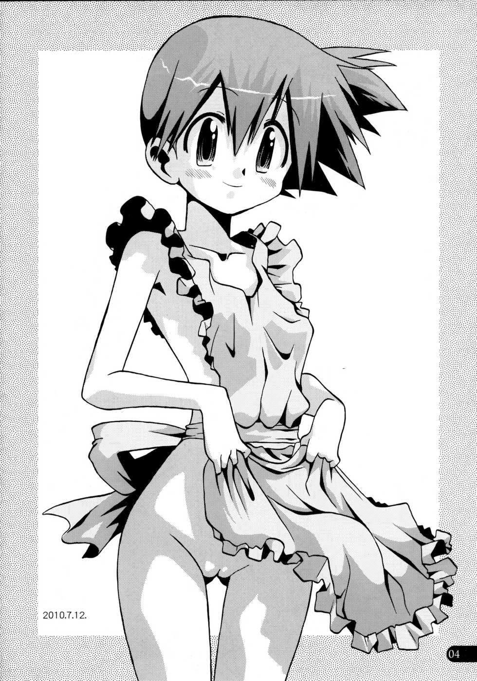 (C78) [Ukkaridou (Inari Satsuki, Shimazu Isami)] Wasurenai yo Kimi to no Episode (Pokémon) [Textless] - Page 4