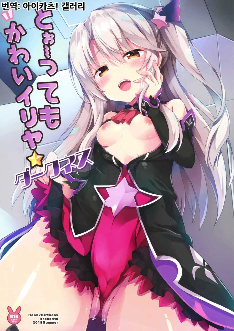 (C96) [HappyBirthday (MARUchang)] Too~ttemo Kawai Illya Darkness | 아～주 귀여운 이리야 다크니스 (Fate/Grand Order) [Korean] [아이카츠! 갤러리] - Page 1