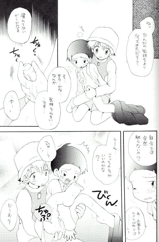 [Kuru Guru DNA (Hoshiai Hilo)] Seijitsu Na Hon (Digimon Adventure 02) - Page 8