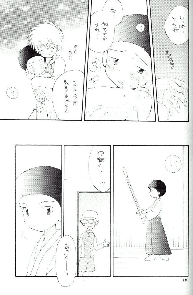 [Kuru Guru DNA (Hoshiai Hilo)] Seijitsu Na Hon (Digimon Adventure 02) - Page 16