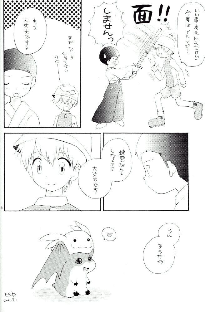 [Kuru Guru DNA (Hoshiai Hilo)] Seijitsu Na Hon (Digimon Adventure 02) - Page 17