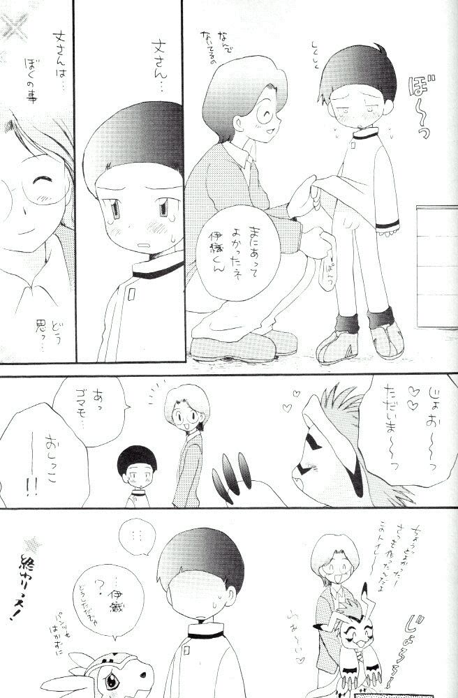 [Kuru Guru DNA (Hoshiai Hilo)] Seijitsu Na Hon (Digimon Adventure 02) - Page 24