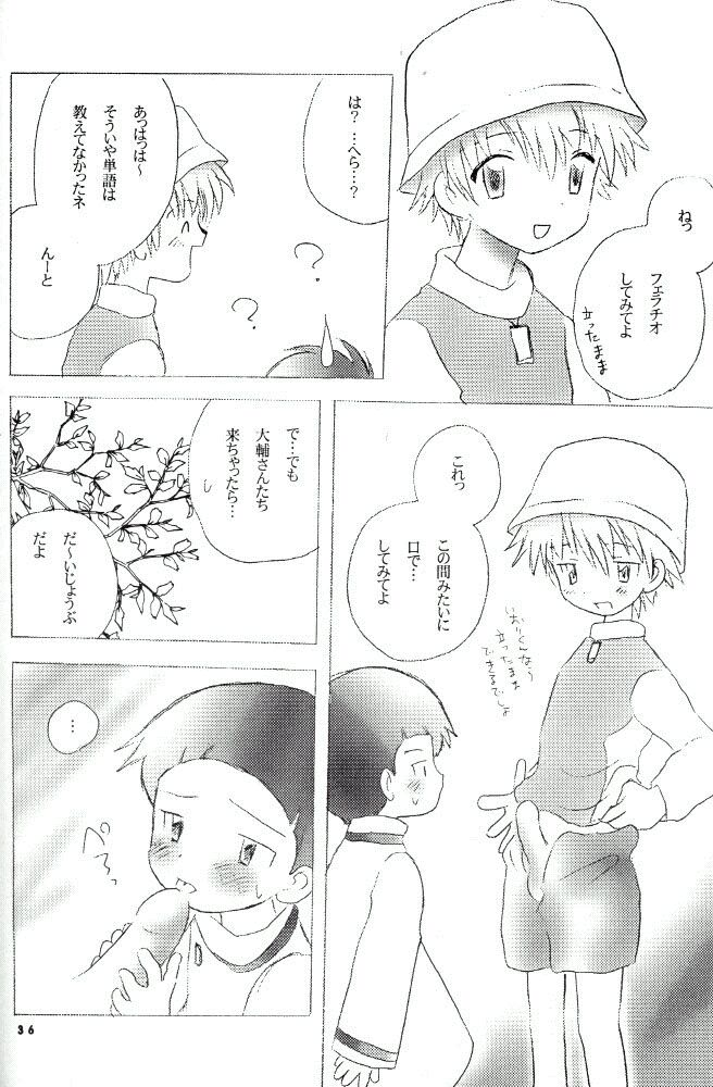 [Kuru Guru DNA (Hoshiai Hilo)] Seijitsu Na Hon (Digimon Adventure 02) - Page 31