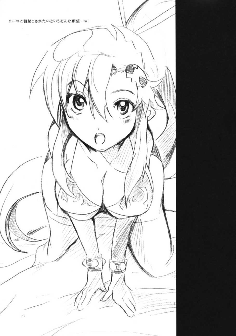 (C75) [Soyoking (Soyoki)] 1+1=3 (Tengen Toppa Gurren Lagann) - Page 25