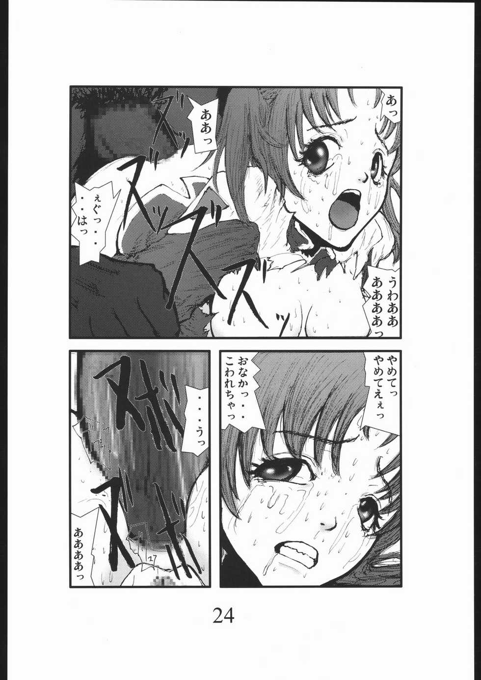 [Zettai Kanzen Rippoutai] Bouryoku Herushi-bobu (Gundam Seed Destiny) - Page 23