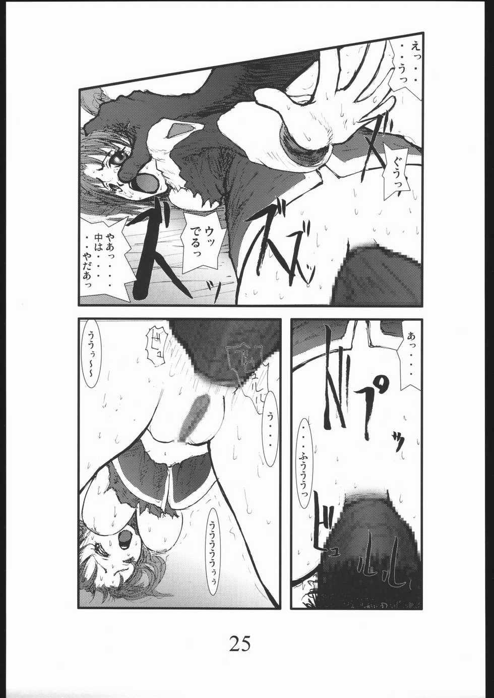 [Zettai Kanzen Rippoutai] Bouryoku Herushi-bobu (Gundam Seed Destiny) - Page 24