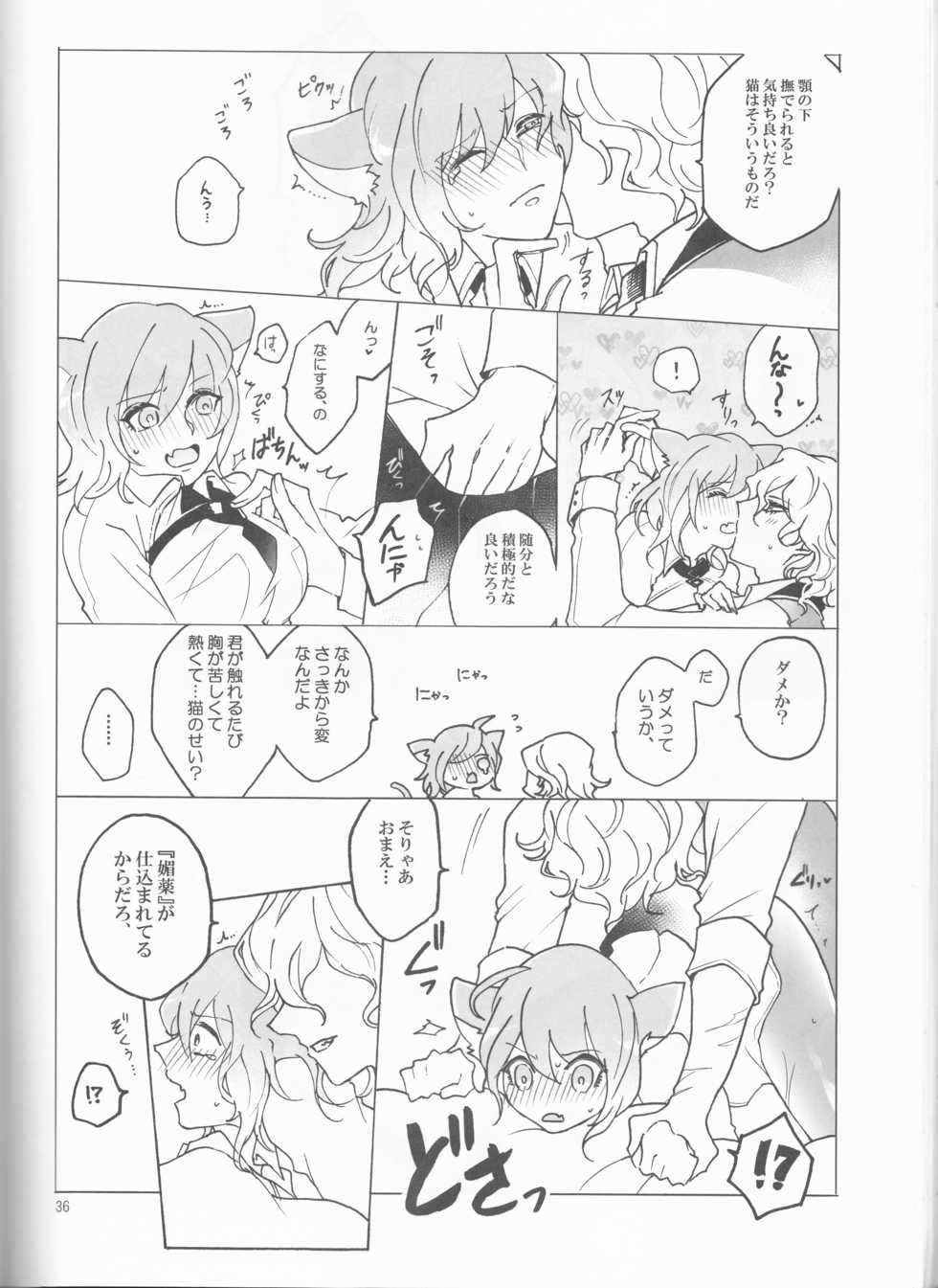 (Dai 23-ji ROOT4to5) [Yusuzumi (Gurekan)] Espoir (Fate/Grand Order) - Page 36