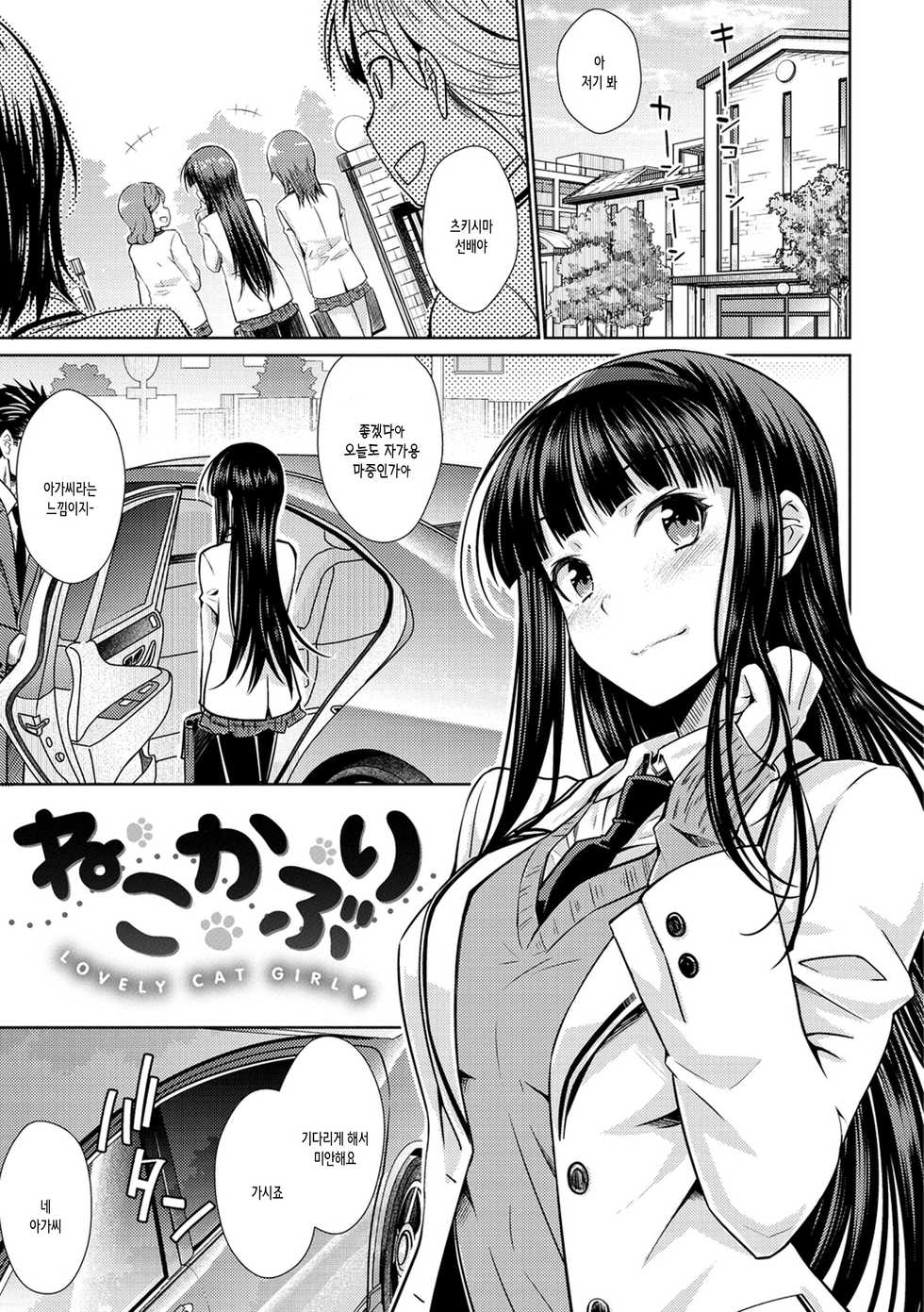 [Okara] Nekokaburi | 내숭꾸러기 [Korean] [여름엔팝핀수] - Page 5