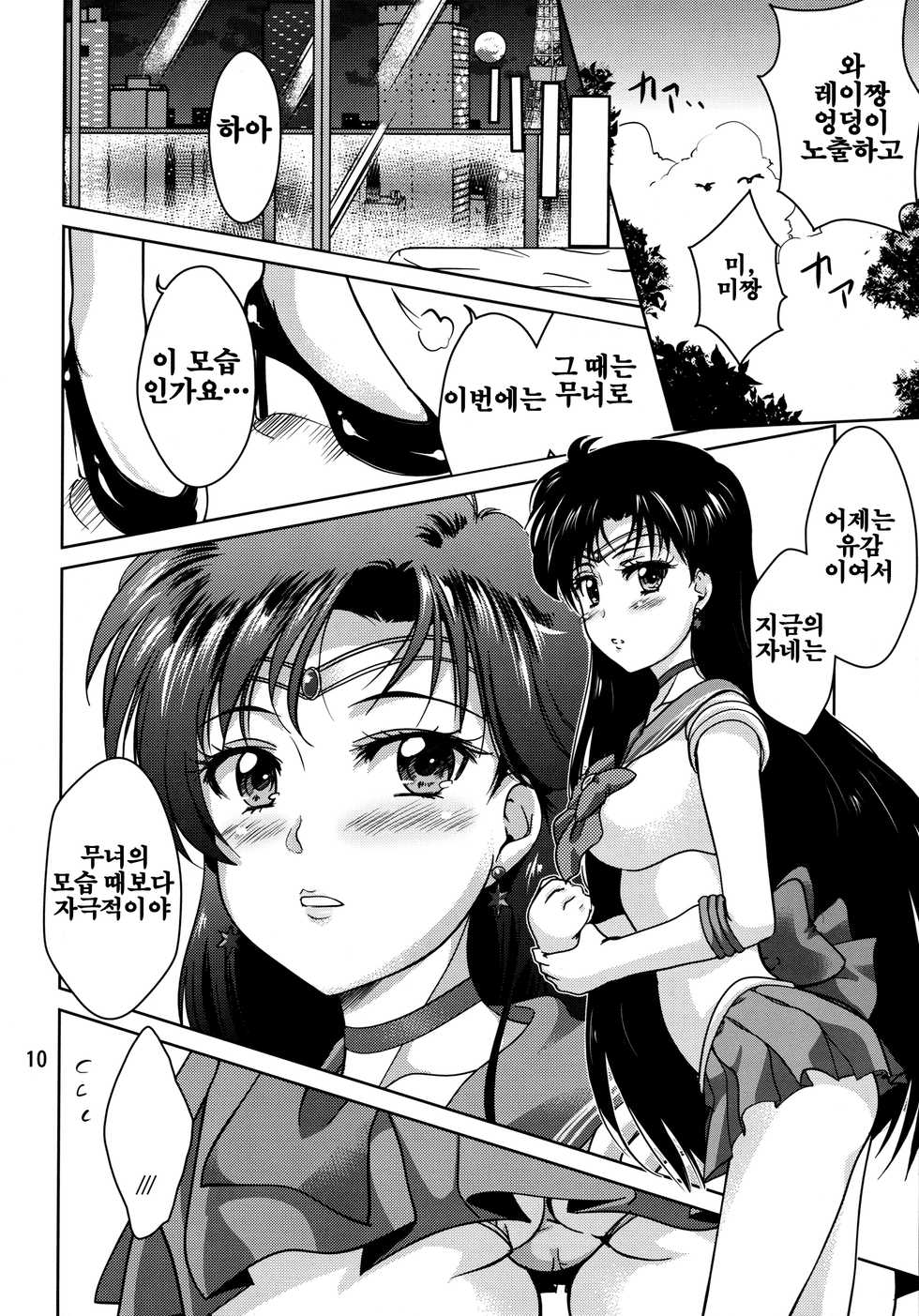 (C87) [Obsidian Order (Shoda Norihiro)] Hiiro no Akari (Bishoujo Senshi Sailor Moon) [Korean] [KYR] - Page 9