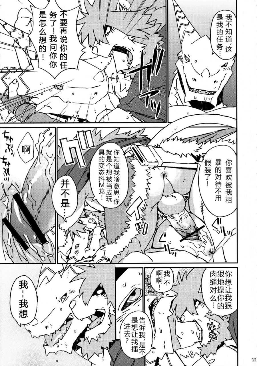 (C83) [Dragon Heart (Various)] TTWR! [Chinese] - Page 20