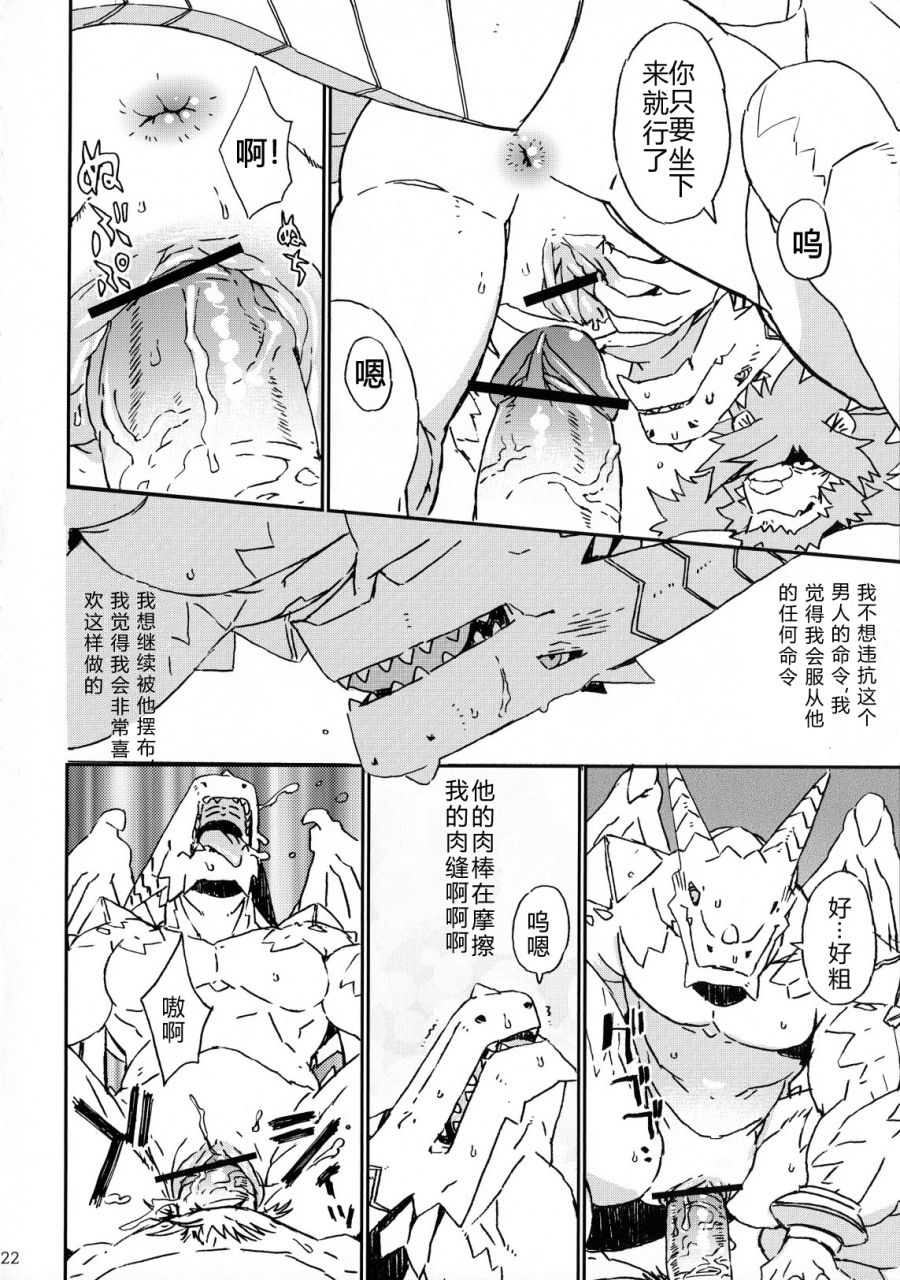 (C83) [Dragon Heart (Various)] TTWR! [Chinese] - Page 21