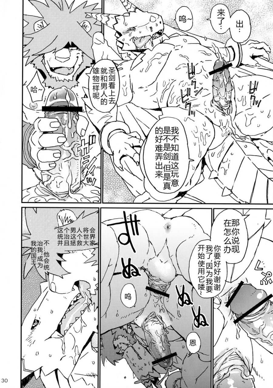 (C83) [Dragon Heart (Various)] TTWR! [Chinese] - Page 29