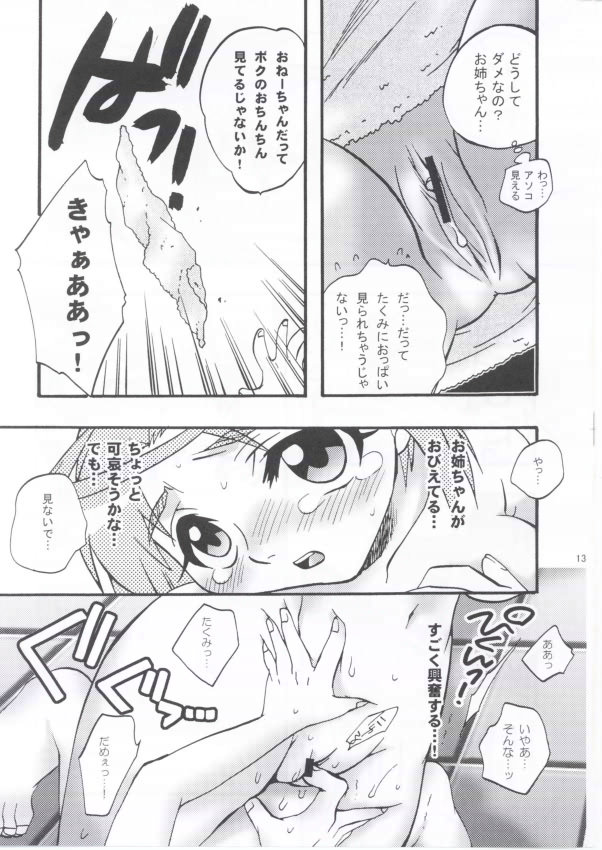 [Kanzen Dokusen (Doubutsu Danchou)] Dorei Ane (Mai-HiME [My-HiME]) - Page 11