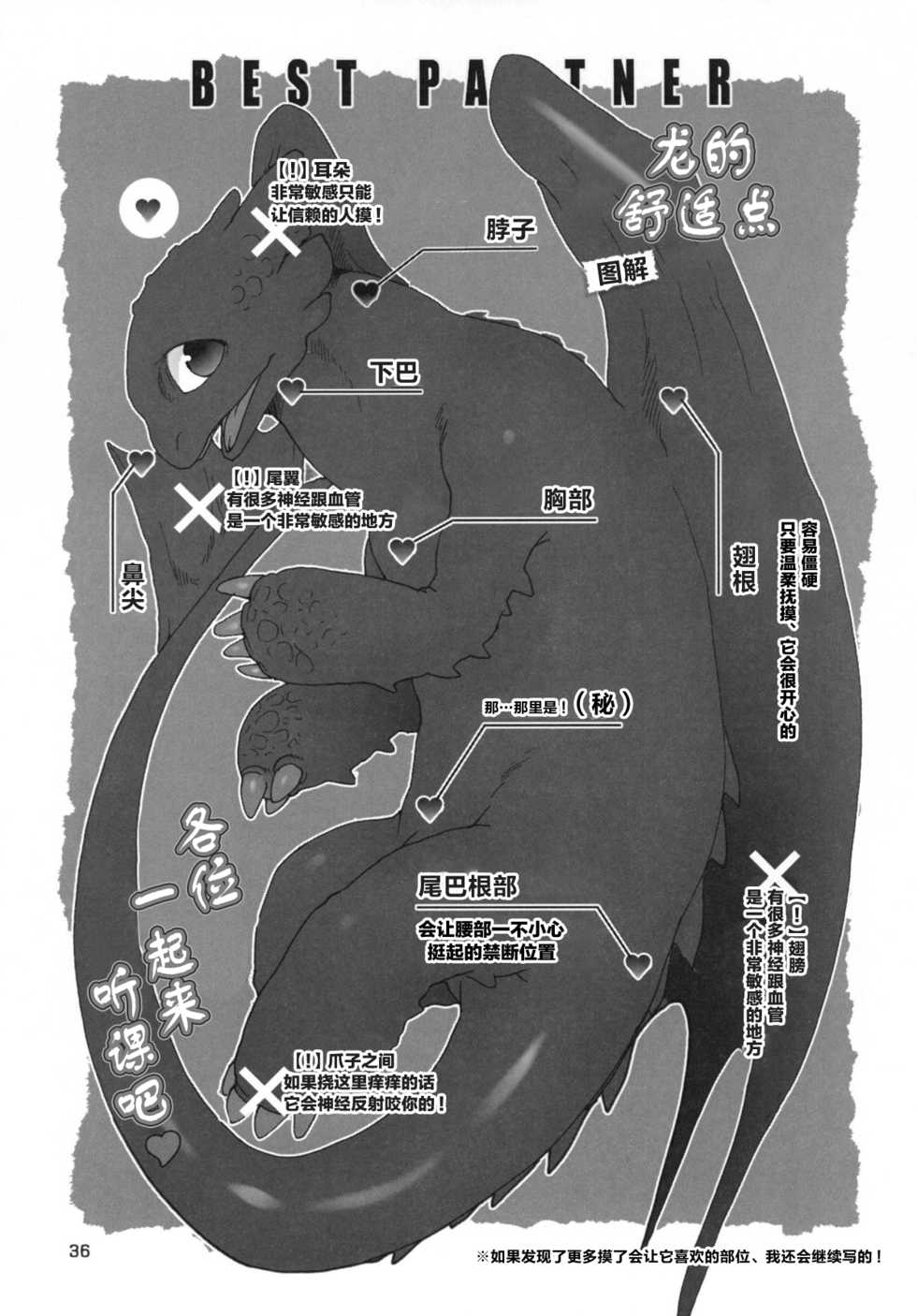 (Fur-st 2) [Kon'na Tokoro no Kin'niku made Kitaeru nante... (Sugoi Kin'niku)] BEST PARTNER5 (How to Train Your Dragon) [Chinese] [逃亡者x新桥月白日语社汉化] - Page 35