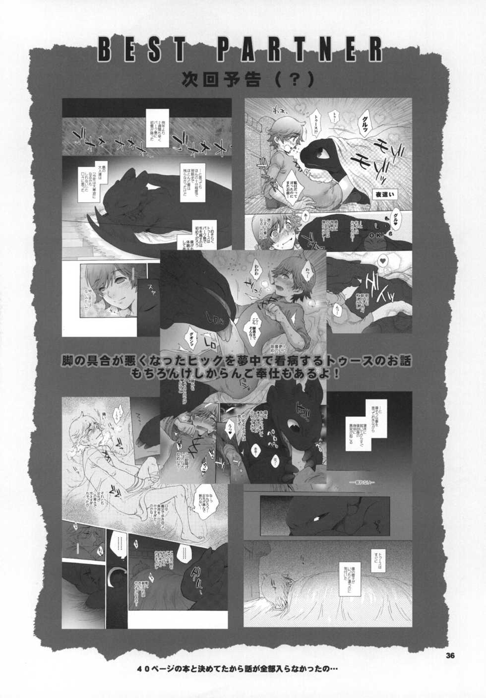 (C81) [Kon'na Tokoro no Kin'niku made Kitaeru nante... (Sugoi Kin'niku)] BEST PARTNER6 (How to Train Your Dragon) [Chinese] [逃亡者x新桥月白日语社汉化] - Page 35
