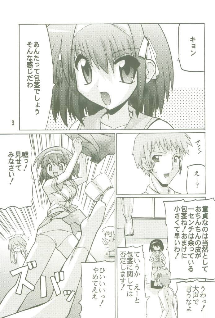 (SC32) [Oohashiya (Oohashi Hikaru)] SOSH (Suzumiya Haruhi no Yuuutsu) - Page 3