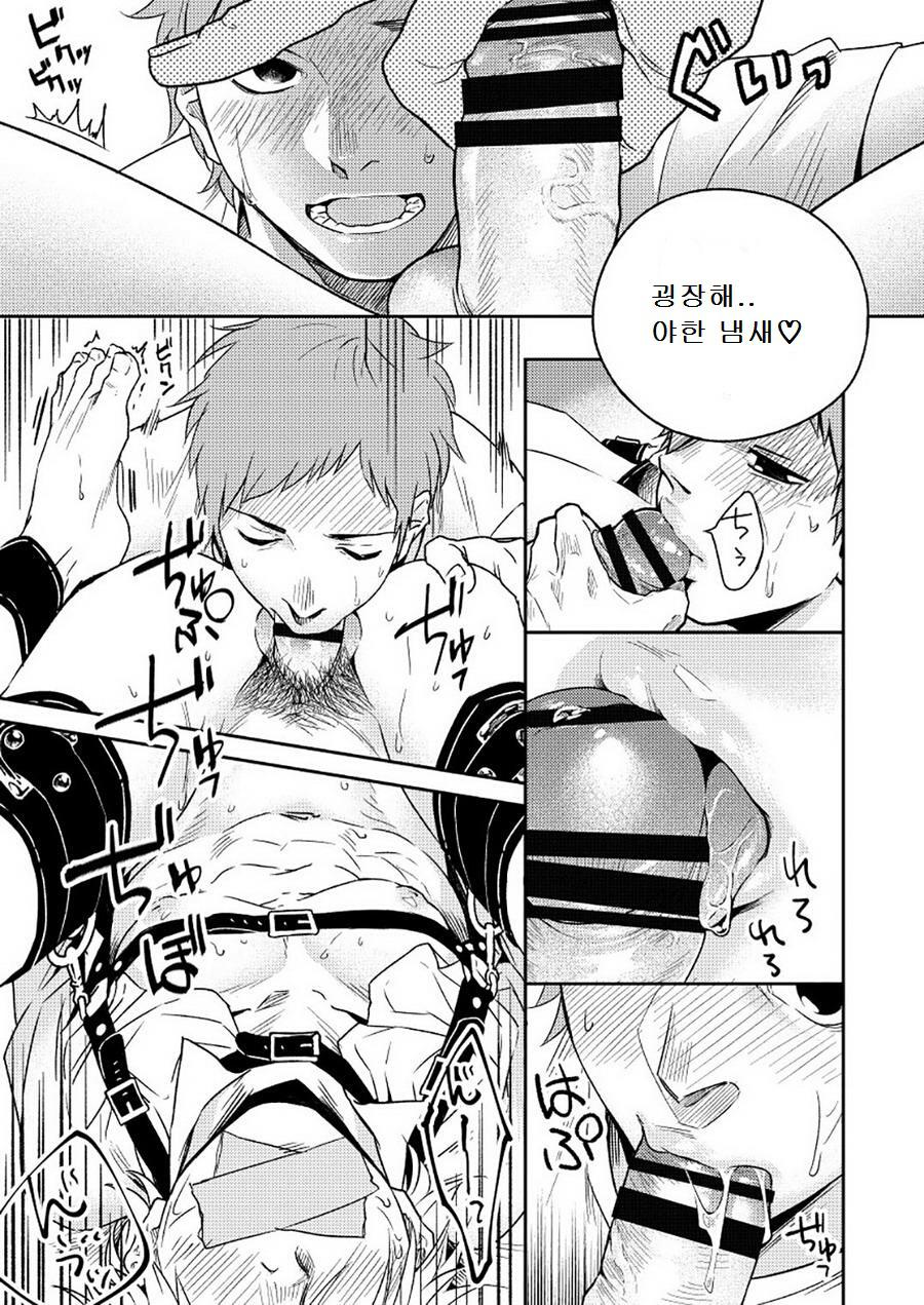 [Seikatsu Seshishou (tt)] Kyuuso Neko o Kurau [Korean] [Digital] - Page 21