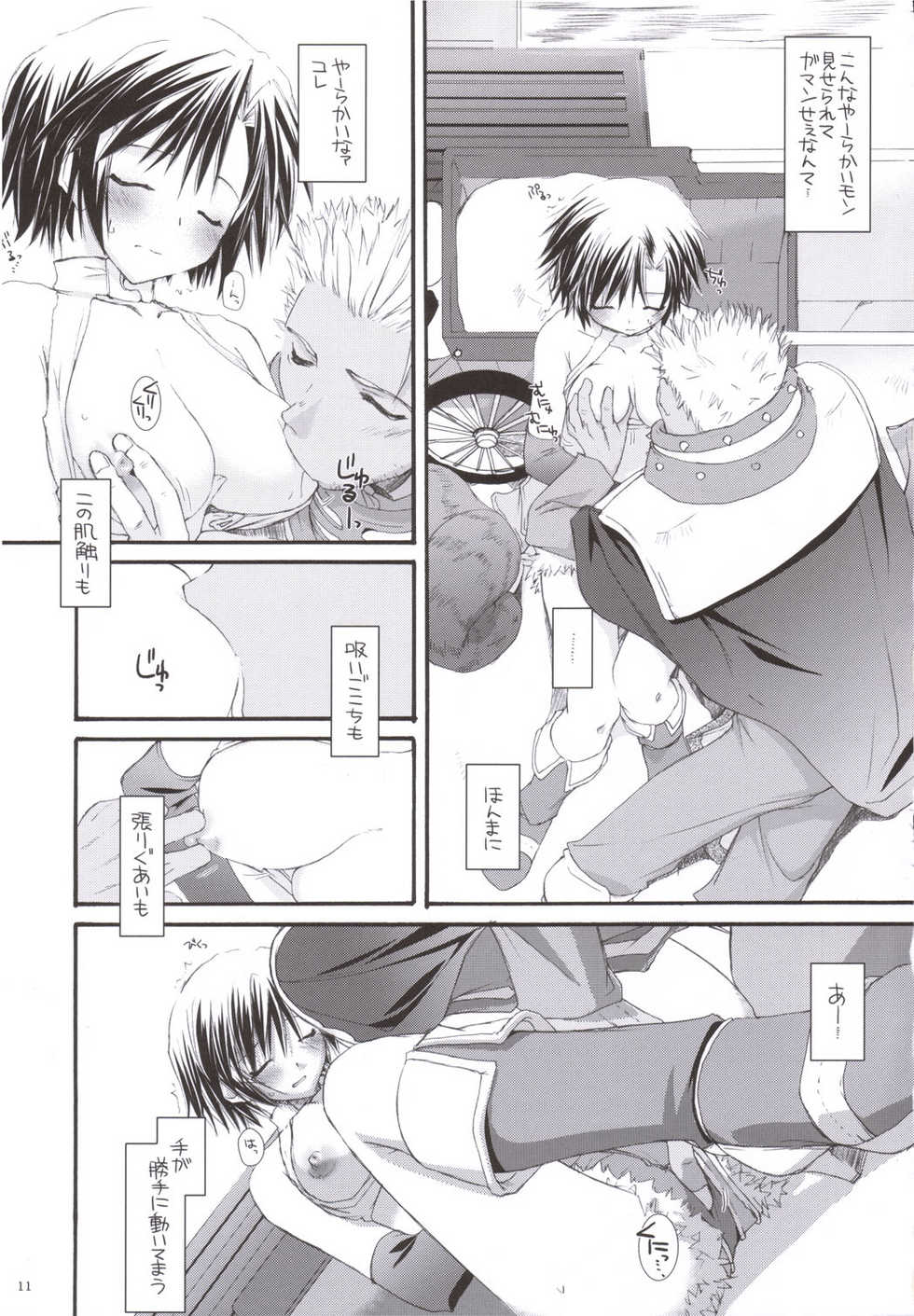 (C69) [Digital Lover (Nakajima Yuka)] D.L. action 33 (Ragnarok Online) - Page 10